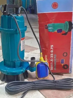 Premier 2hp Shallow Well Submersible Pump