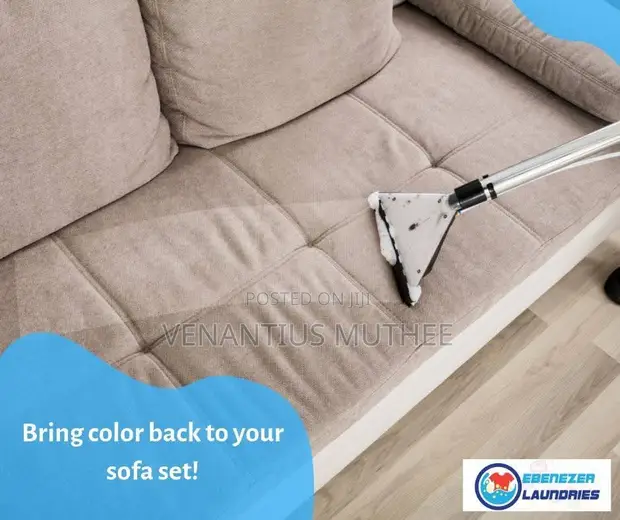 Professional Sofa and Carpet Cleaning Services - 1