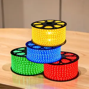 Energy Efficient 50m Outdoor Snake Light with Connector