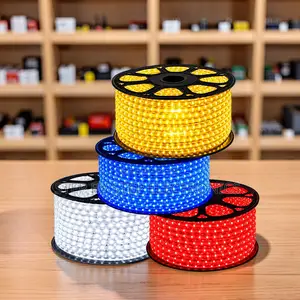 50m Nje ya Nyumba Snake LED Rope Light na Kiunganishi