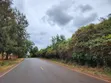 Ekari 2 za Ardhi kwa Uuzaji Wamwangi, Gatundu Kusini - 1