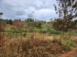 Ekari 2 za Ardhi kwa Uuzaji Wamwangi, Gatundu Kusini - 2