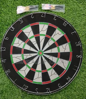 Brand New Dartboard