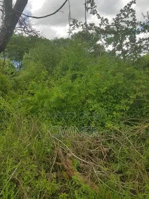 Mwingi Prime Land 30.5 Acres - Kavaini, Thitani