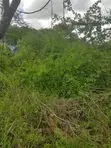 Mwingi Prime Land 30.5 Acres - Kavaini, Thitani - 1