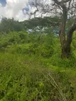 Mwingi Prime Land 30.5 Acres - Kavaini, Thitani - 2