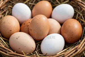 Fresh Chicken Eggs - 30 Pack
