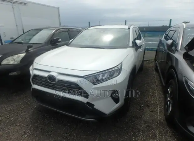 Toyota RAV4 2020 Rangi ya Loti - 1