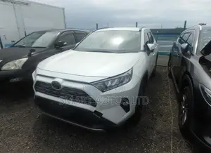 Toyota RAV4 2020 Rangi ya Loti