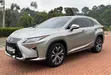 Lexus RX 300 2018 Gray - 2