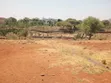 Eka Moja ya Ardhi Inauzwa Mutunyi, Isiolo - 1