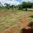 Eka Moja ya Ardhi Inauzwa Mutunyi, Isiolo - 3