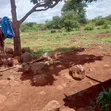Eka Moja ya Ardhi Inauzwa Mutunyi, Isiolo - 5