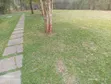 7 Bedroom House for Rent in Karen - 5