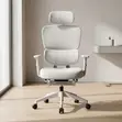 Office Orthopedic Chair with Footrest - Brand New - 1