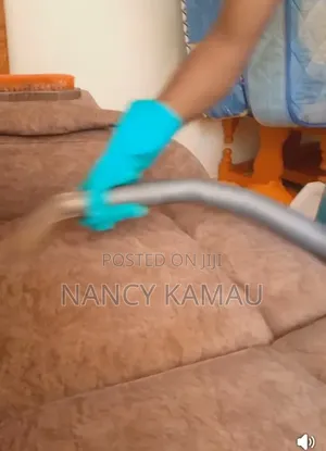 Sofa Cleaning and Renewal Service