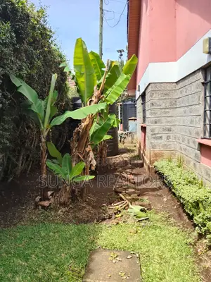 4 Bedroom Ensuite Bungalow with DSQ in Bomas, Hardy for Rent