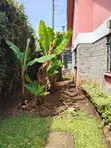 4 Bedroom Ensuite Bungalow with DSQ in Bomas, Hardy for Rent - 1