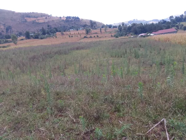 Kitalu cha Kuuzwa 50x100, Barabara ya Nakuru Nyahururu - 1