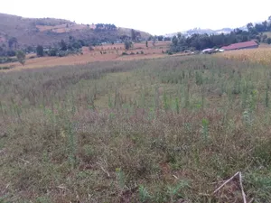Kitalu cha Kuuzwa 50x100, Barabara ya Nakuru Nyahururu