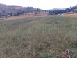 Kitalu cha Kuuzwa 50x100, Barabara ya Nakuru Nyahururu - 1