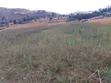 Kitalu cha Kuuzwa 50x100, Barabara ya Nakuru Nyahururu - 2