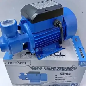 FreeVel Submersible Water Pump QB60