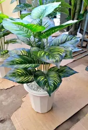 Mimea Bandia kwa Ajili ya Mapambo ya Nyumbani