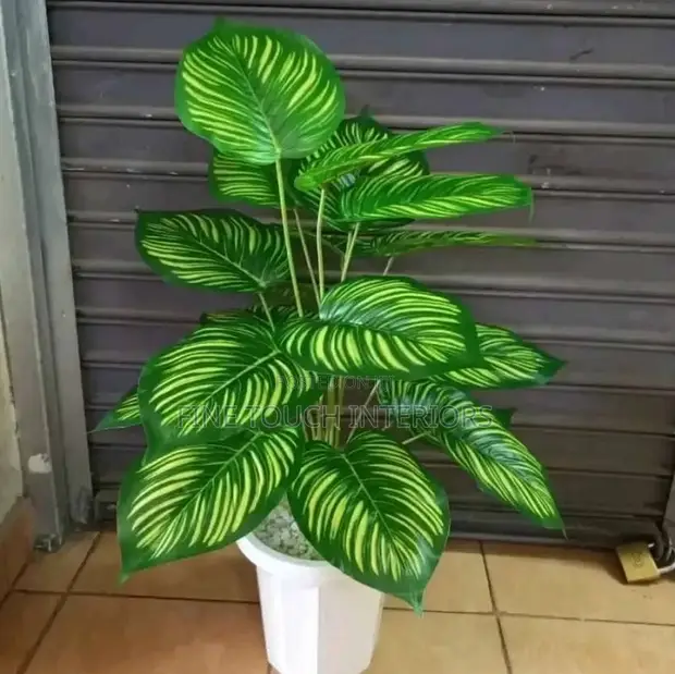 Mimea Bandia ya Kweli kwa Nyumba za Kisasa - 1