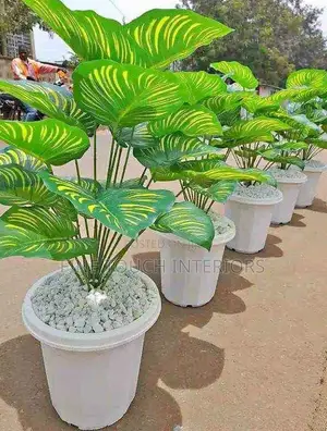 Mimea Bandia ya Kijani kwa Sebule