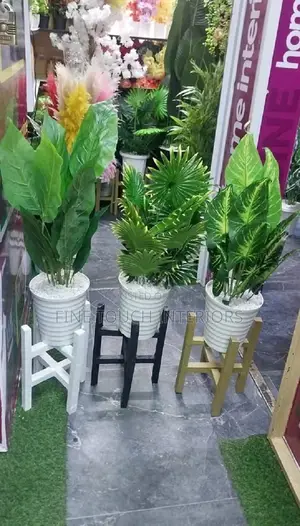 Better Homes & Gardens Mimea Bandia Halisi