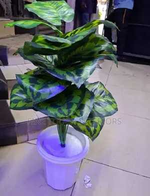 Mimea Bandia ya Better Homes & Gardens