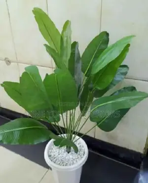 Mimea Bandia ya Kijani - Better Homes & Gardens