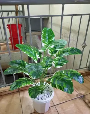 Mimea Bandia kwa Nyumba, Ofisi, Maduka