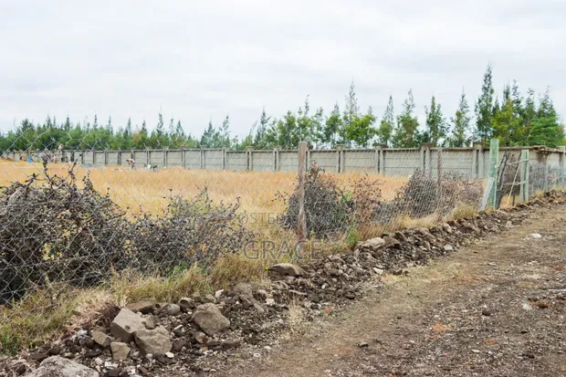 Mbuni Farm Plots for Sale - 50x100 - 1
