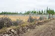 Viwanja vya Mbuni Farm kwa Mauzo - 50x100 - 1