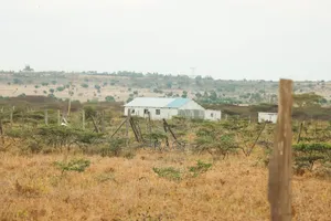 Viwanja vya Mbuni Farm kwa Mauzo - 50x100