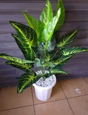 Mimea Bandia ya Kijani - Kweli na Imara