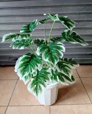 Mimea Bandia ya Kijani Inayodumu