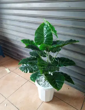 Mimea Bandia ya Kweli kwa Balkoni