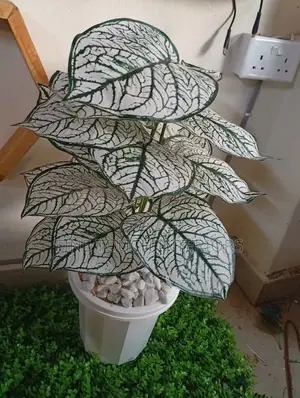 Decorative Artificial Plants - Brand New