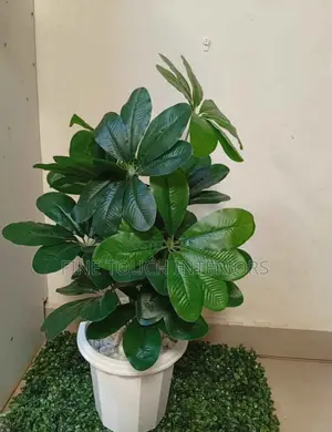 Artificial Foliage for Home Décor