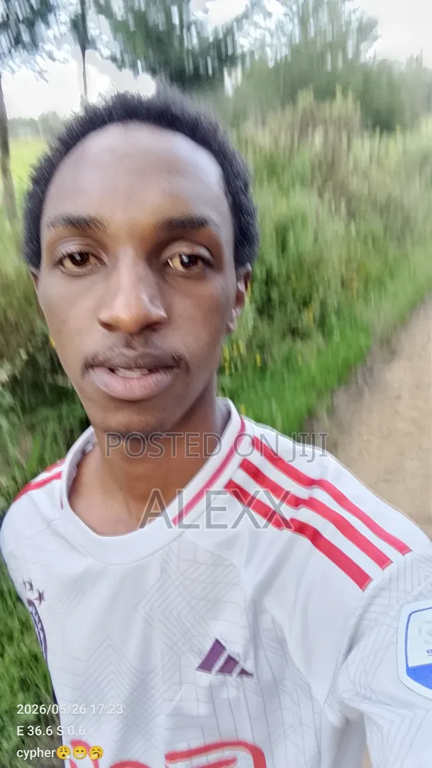 Alex Maingi - Mtaalamu Mwenye Ujuzi Akihitaji Ajira - 1