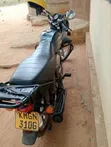 TVS HLX 125 2022 Gold - 1