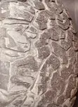 Matairi ya BF Goodrich 265/65 R17 - 2