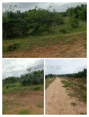 4 Acres Land with Title Deed for Sale at Sosobora
