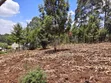 Eka 1 ya Ardhi Inauzwa Kahawa, Ngong - 3