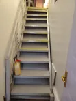 Wall-to-Wall Carpet Installation - Red - 2