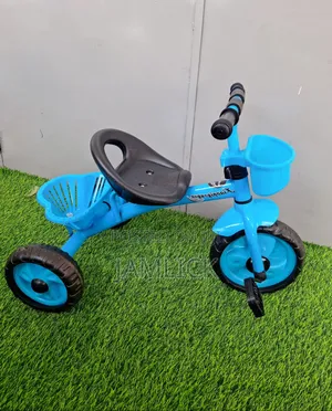 Kids Mini Tricycle