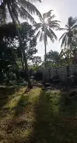1.5 Acre Mixed-Use Land for Sale in Kizingo - 3